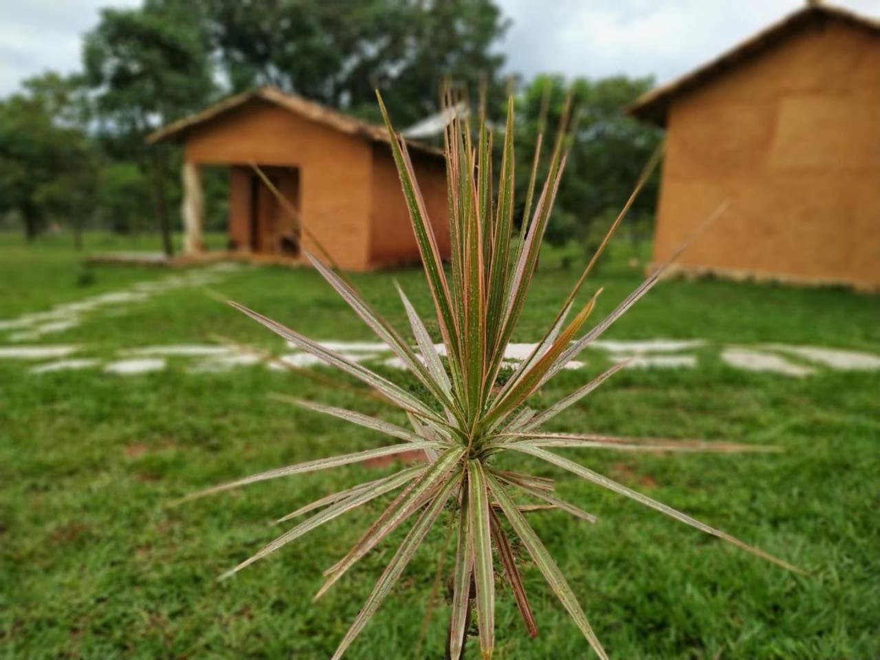 Recanto Do Baru Pirenópolis Extérieur photo