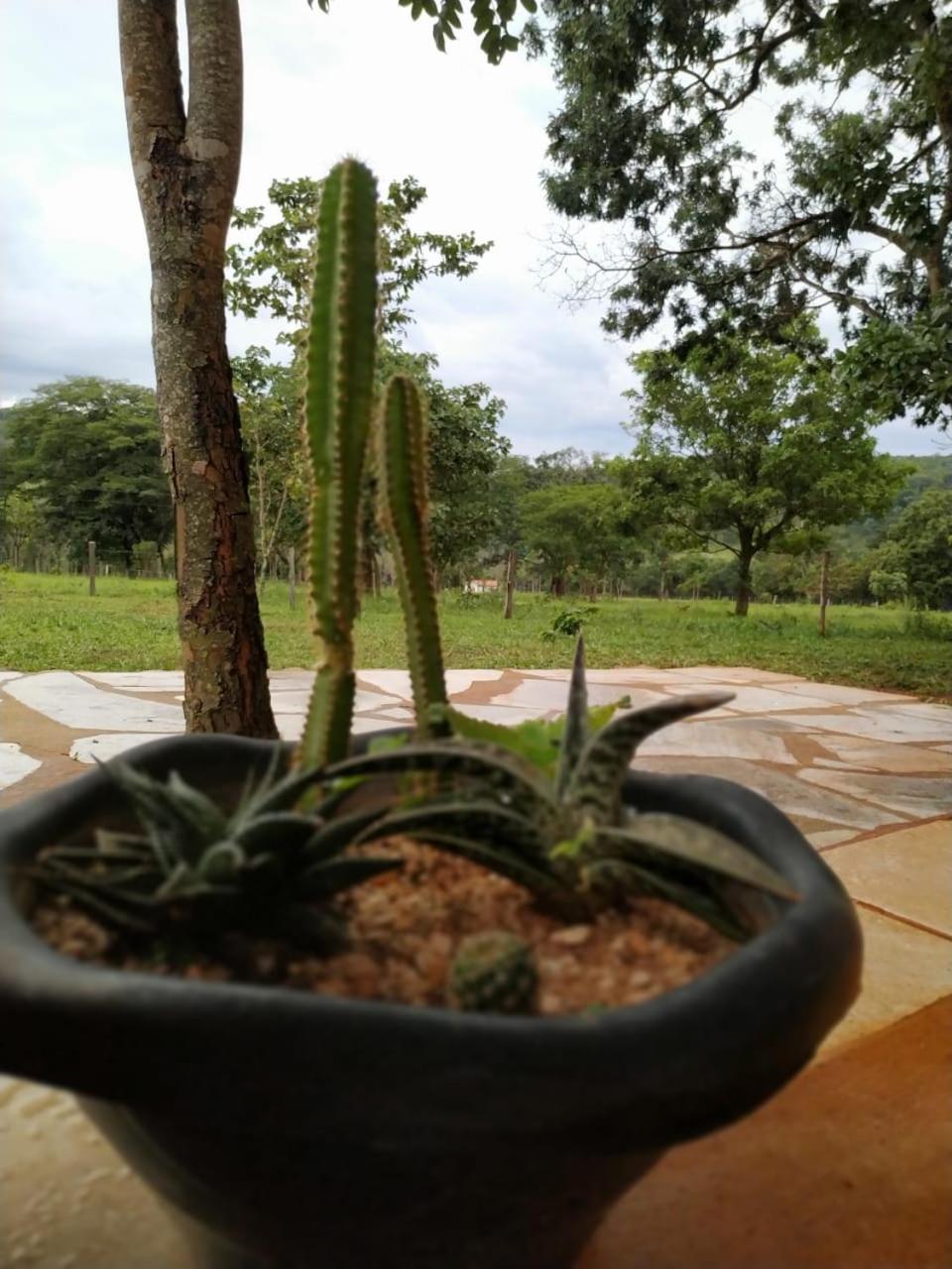 Recanto Do Baru Pirenópolis Extérieur photo